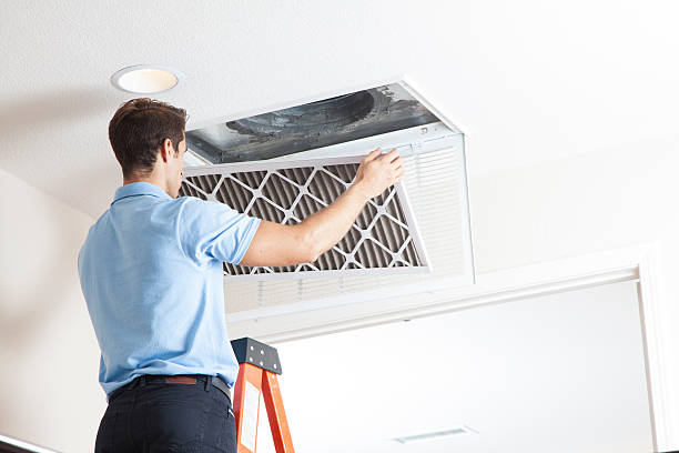 Best Air Filters and Purifiers in Green Forest, AR
